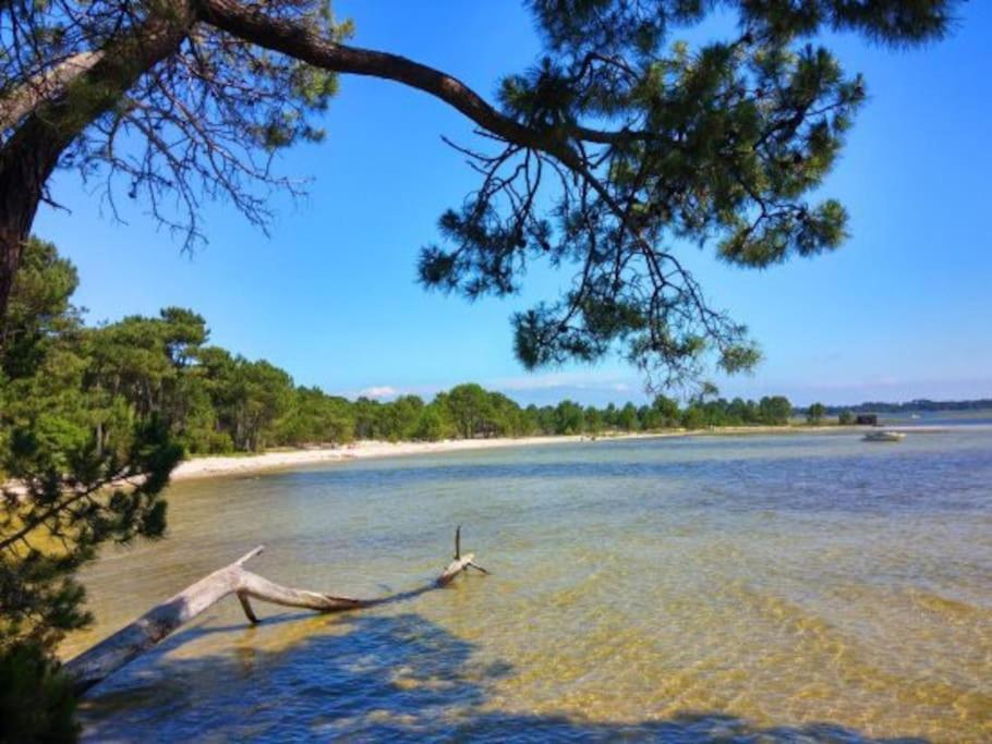 La Petite Landaise Villa Sanguinet Bagian luar foto
