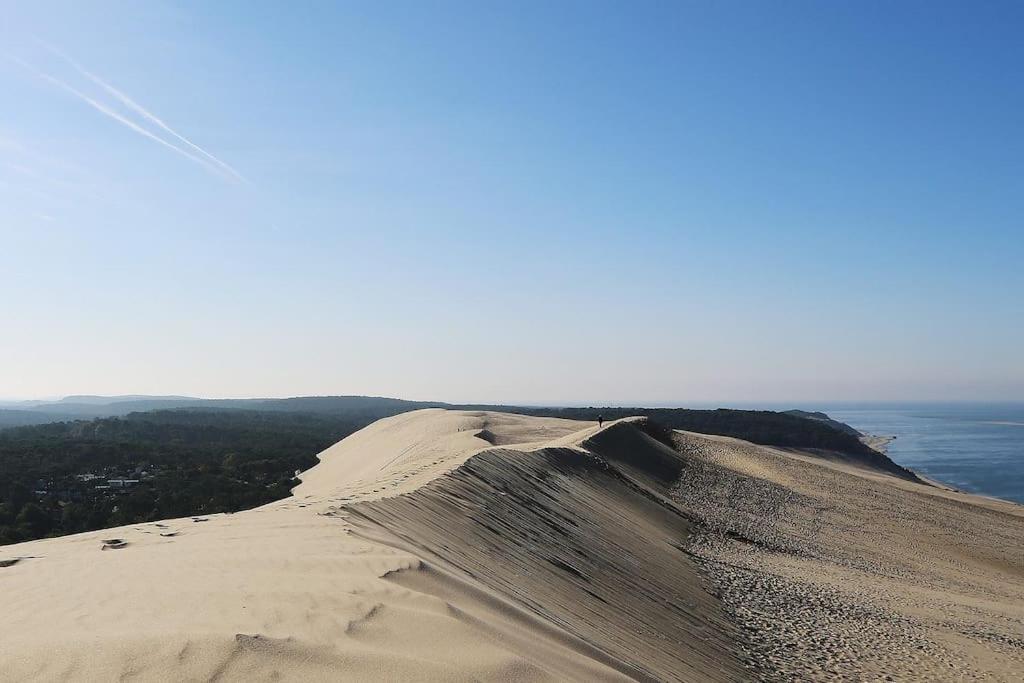 La Petite Landaise Villa Sanguinet Bagian luar foto